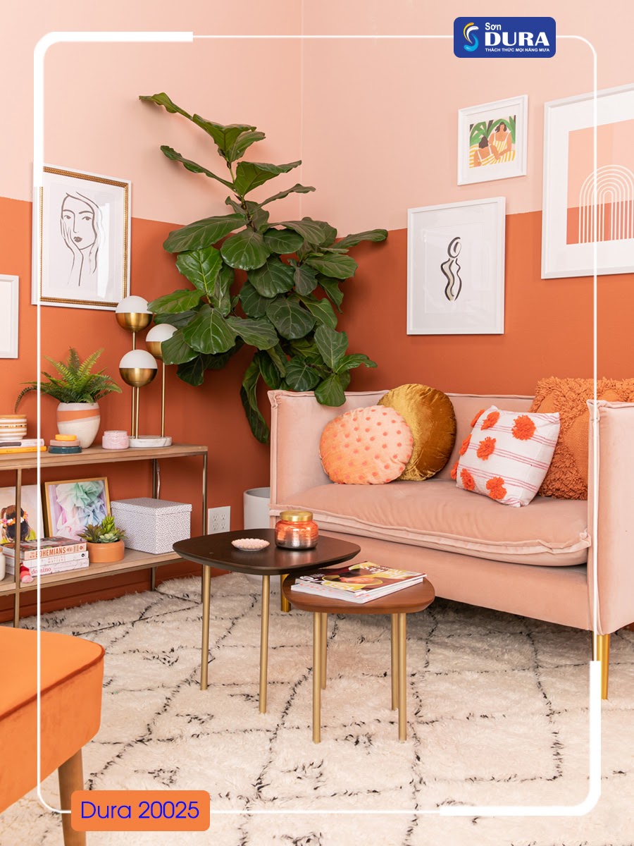 Sơn tường màu cam: Truyền tải sự năng động cùng vẻ đẹp tươi sáng với sơn tường màu cam. Điểm nhấn này sẽ làm tôn lên không gian sống, mang đến cho bạn một cảm giác vui tươi và thoải mái.