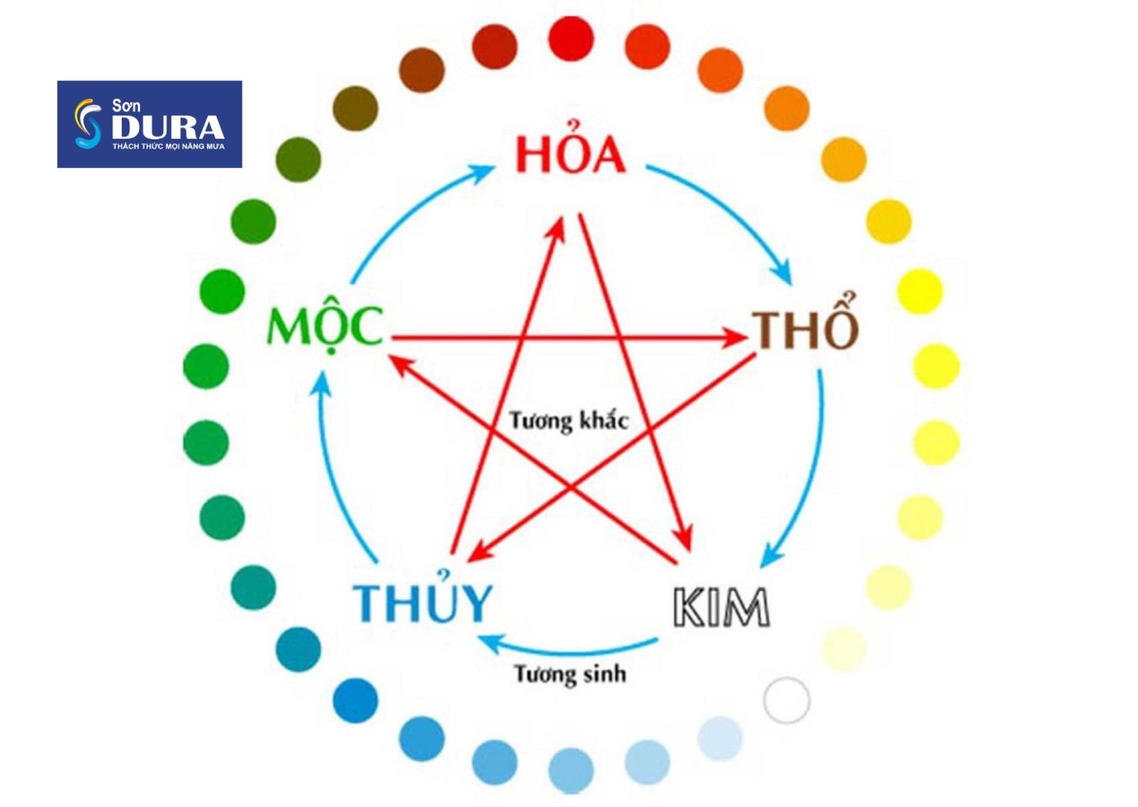 Người mệnh Mộc sơn nhà màu gì năm 2023 để vạn sự hanh thông